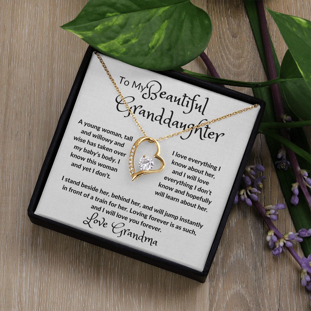 My Beautiful Granddaughter Forever Love Necklace