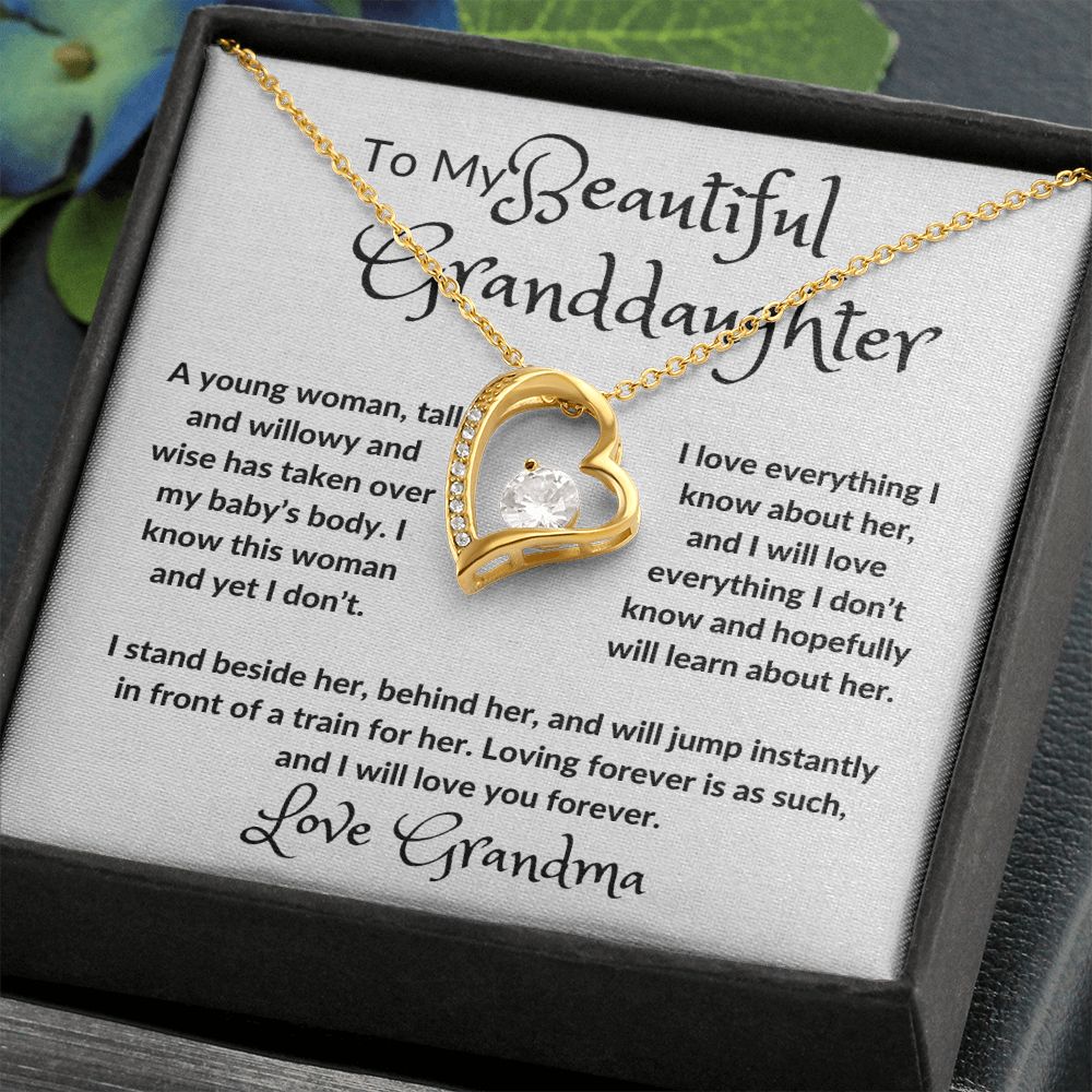 My Beautiful Granddaughter Forever Love Necklace