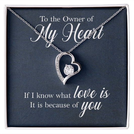 To The Owner of My Heart